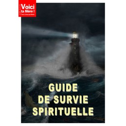 Revue : Guide de survie spirituelle en téléchargement