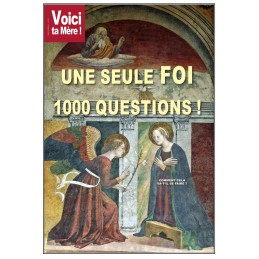 1 FOI, 1000 questions ! (en...