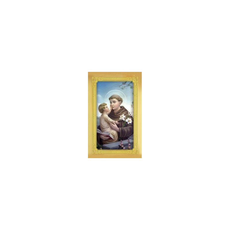 Carte-prière + médaille : Saint Antoine
